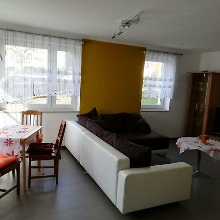 Ferienwohnung, Monteurwohnung Grossrohrsdorf Eksteriør bilde